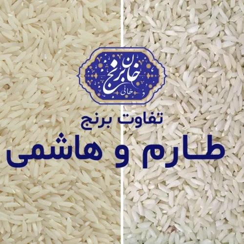 تفاوت برنج طارم و هاشمی - خان برنج
