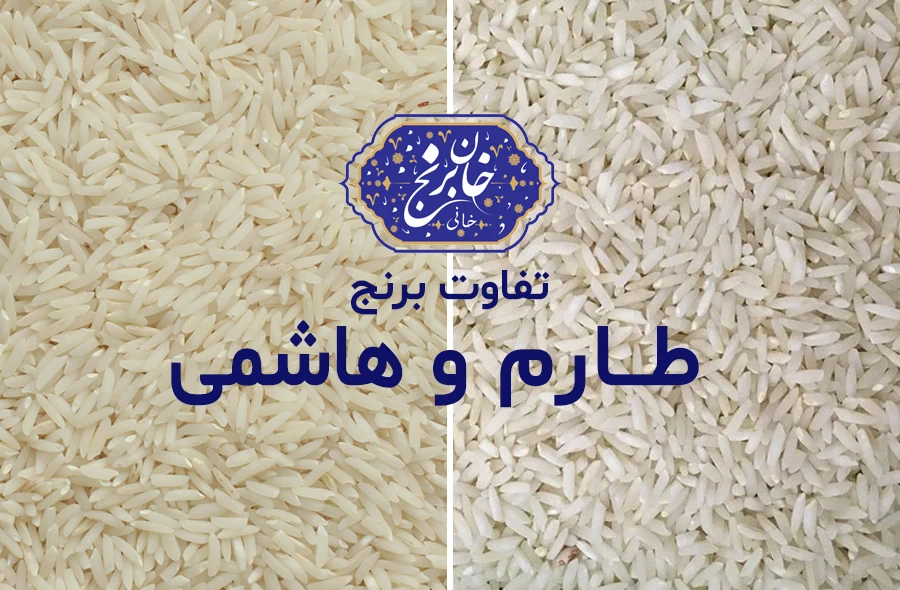 تفاوت برنج طارم و هاشمی - خان برنج