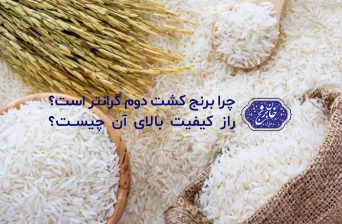 برنج کشت دوم